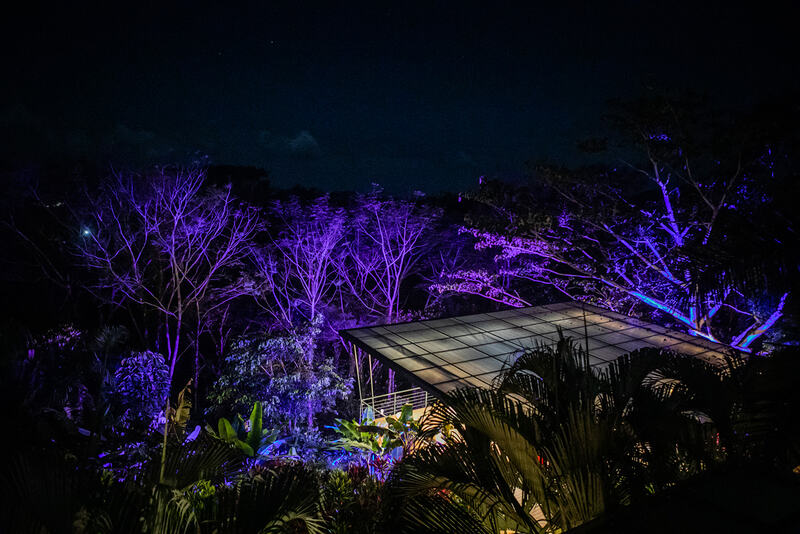 Wedding Lights