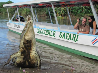 Local Costa Rican Food